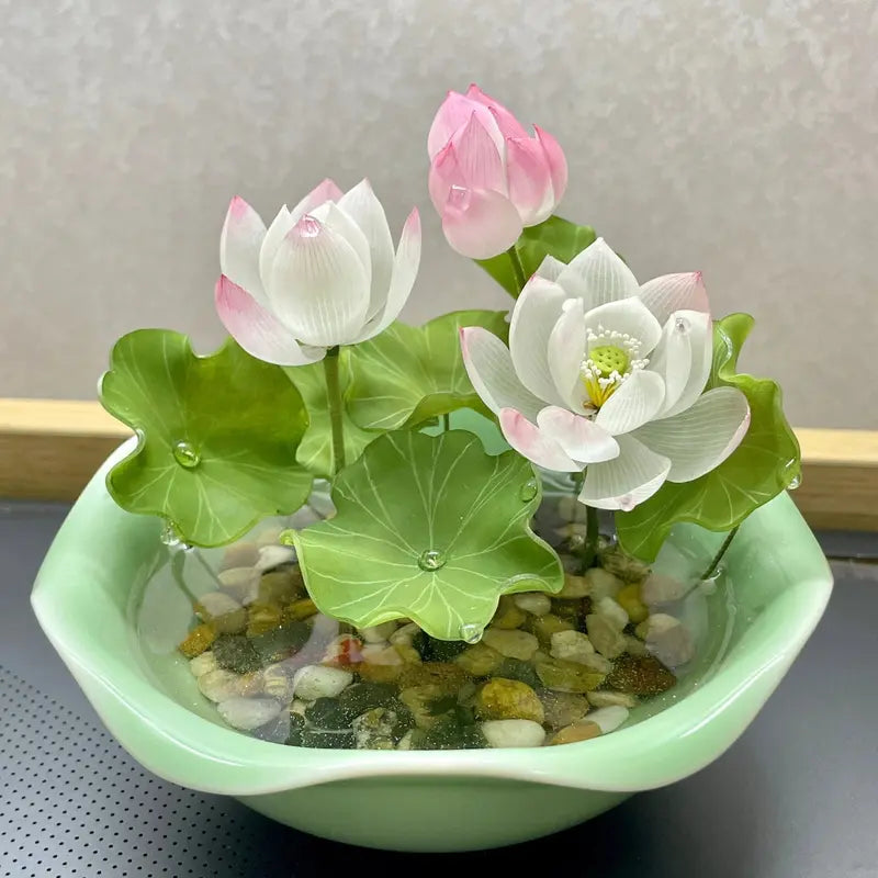 Bowl Lotus Seeds, Indoor Potted Plants, Living Room or Balcony