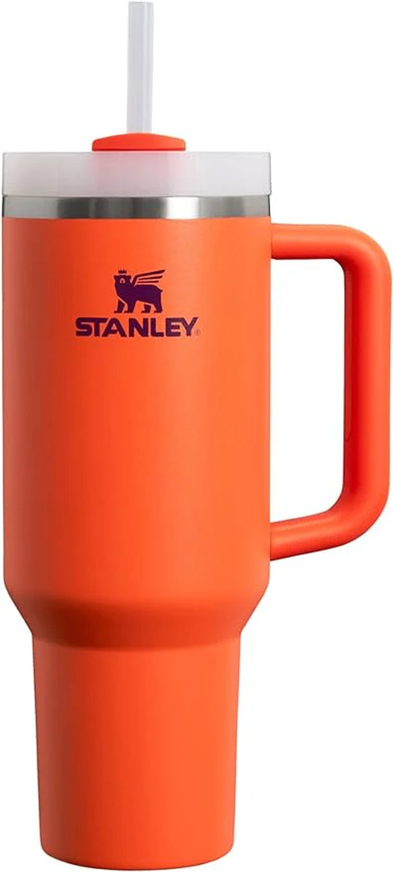 Stainless Steel Vacuum Insulated Tumbler with Lid and Straw for Water, Iced Tea or Coffee