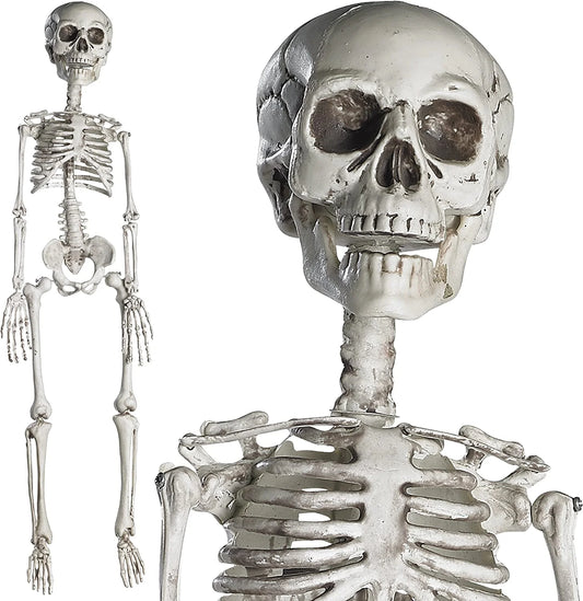 Full Body Halloween Skeleton with Movable Joints for Best Halloween Decoration